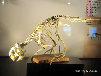 カブトガニ博物館の恐竜