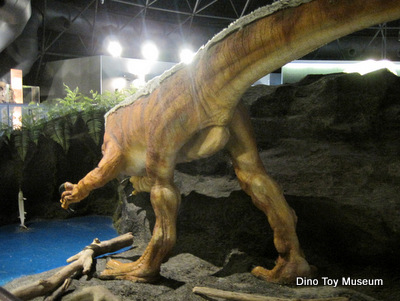 カブトガニ博物館の恐竜