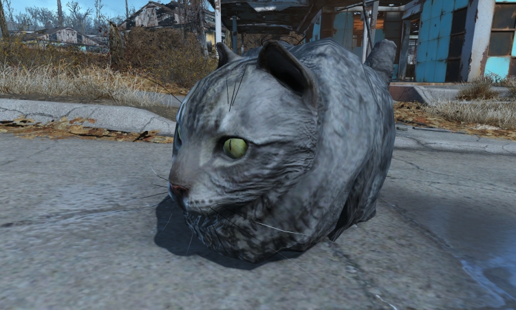 Fallout4 Fat Cat Dogmeat Model Swap 適度にまったりゲーム日記