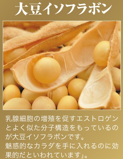 大豆イソフラボン
