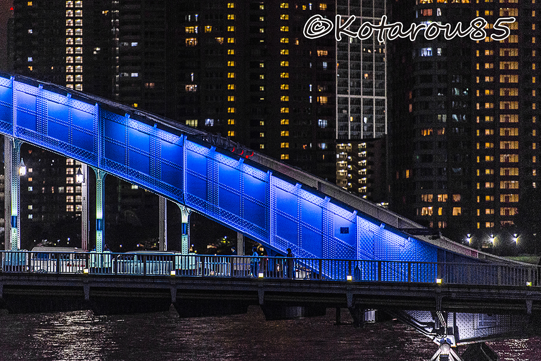 永代橋夜景 20151121