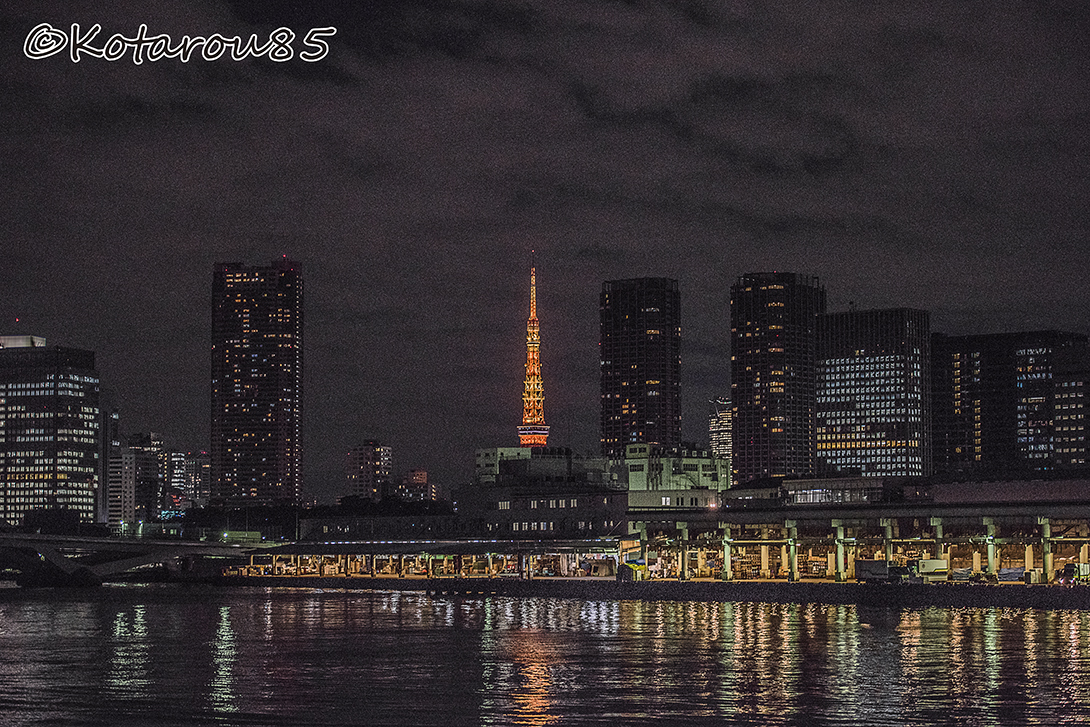 築地市場と東京タワー 20151219