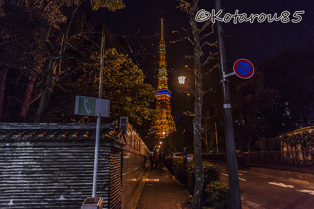東京タワーは休まない 20160214