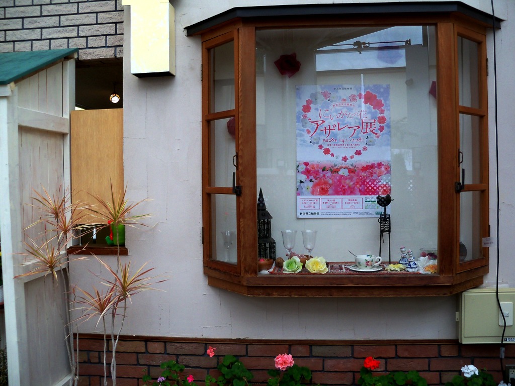 にいがたの花「アザレア展」窓